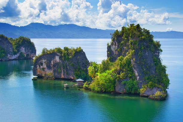 vue géosite de la baie de kabui, raja ampat, papouasie occidentale, indonésie - archipel raja ampat photos et images de collection