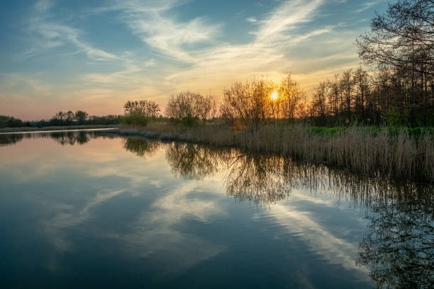 istock Sunset behind the trees over a calm lake 1453753000