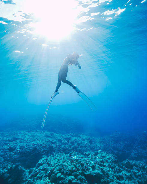 istock Adventure under the Andaman Sea -17 1453754359