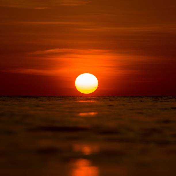istock Image of a sun above a water surface during a golden hour 1453754602