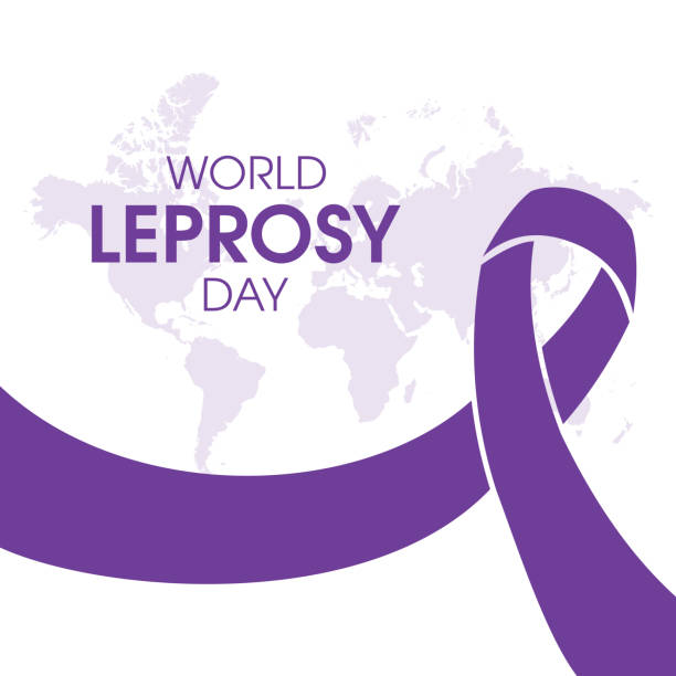 World Leprosy Day vector Purple awareness ribbon icon isolated on a white background. Every year on the last Sunday of January. Important day leprosy stock illustrations