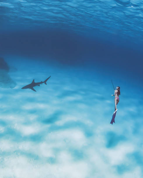 istock Adventure under the Andaman Sea -02 1453754900