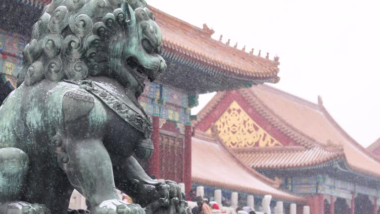 Beijing Forbidden City Bronze Lion Close-up in the Snow