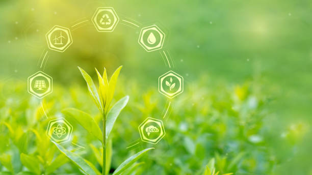 Ecology, sustainable resources, renewable energy concept. A tree sprout surrounded by green energy symbols. Graphic design in the photo. Copy Space Ecology, sustainable resources, renewable energy concept. A tree sprout surrounded by green energy symbols. Graphic design in the photo. Light green natural bright background. Copy Space sustainable business stock pictures, royalty-free photos & images