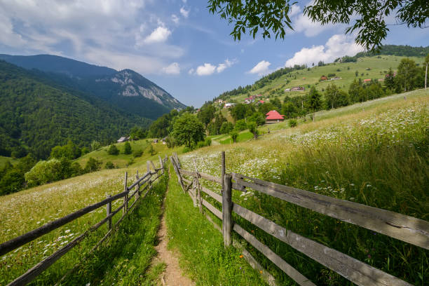 Beautiful rural hilly landscape in the spring, wooden fence along the pathway leading through the grassy hills covered with many flowers, high mountains background, sunny day, fluffy clouds, blue sky hermoso paisaje rural montañoso en la primavera, valla de madera a lo largo del camino que conduce a través de las colinas cubiertas de hierba cubiertas de muchas flores, fondo de altas montañas, día soleado, nubes esponjosas, cielo azul