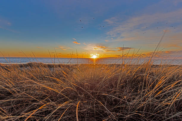 istock Sunset on winter beach of Balvand in Denmark 1453759917