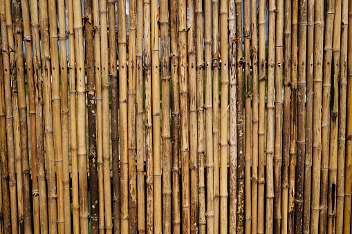 Old bamboo wall background