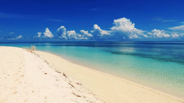 istock Tropical paradise beach with white sand and palm trees panoramic tourism tourism concept background 1453764111
