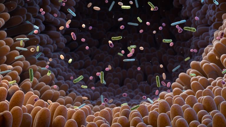 Microbiome.Intestinal bacteria