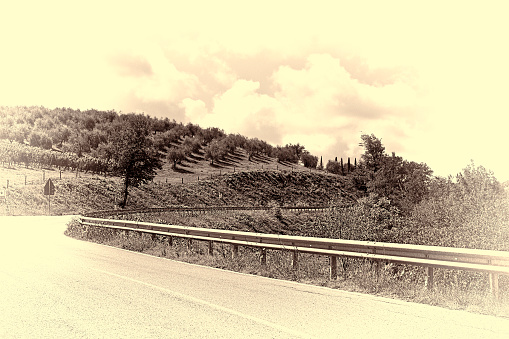 Road Surrounded by Vineyards and Olive Groves, Stylized Photo