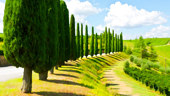 Hill of Tuscany with Vineyards and Cypress Alley, Stylized Photo