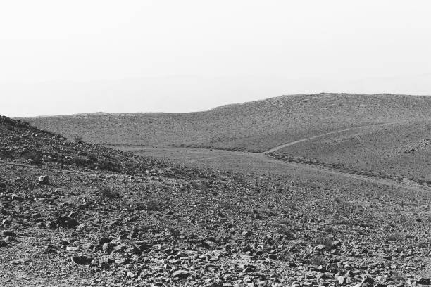 Desolate infinity of the Rocky hills of the Negev Desert in Israel. Breathtaking landscape and nature of the Middle East. Black and white photo