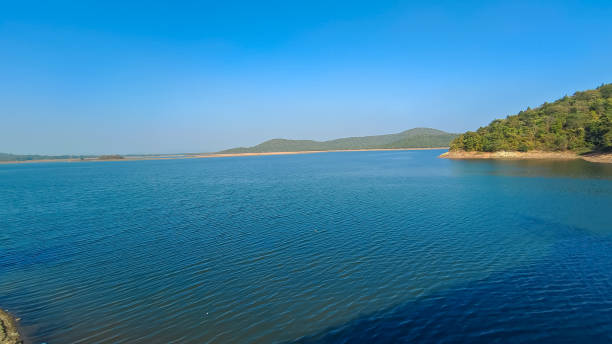 istock Blue lake with clear blue sky and green forest background, summer scene 1453766206