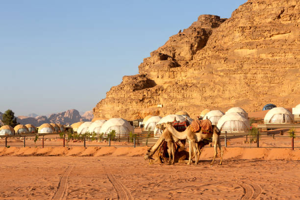 istock Landscape with camels in Wadi Rum desert, Jordan 1453766524