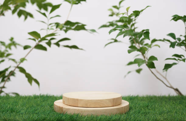 istock empty wooden podium texture on grass with tree branch fresh green leaf white space background.organic healthy natural product pedestal platform  promotion show display,spring banner concept design. 1453772100