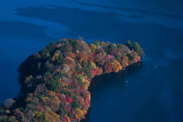 istock Autumn trees by the lake 1453773292