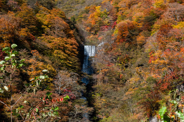 istock Waterfall in the middle of the autum forest 1453773355