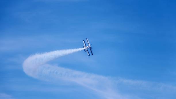 istock Fly to the freedom 1453775531