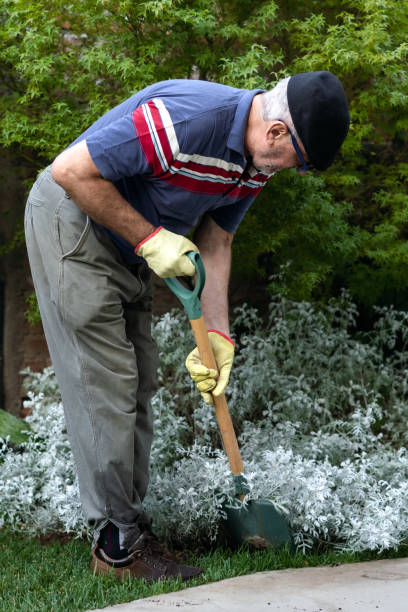 istock Senior man doing some gardening digging his garden with a shovel 1453776240