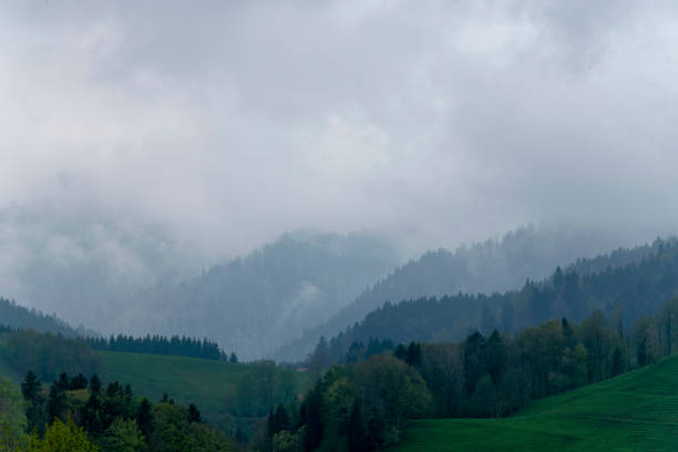 istock Green mountains in fog after rain. 1453776707