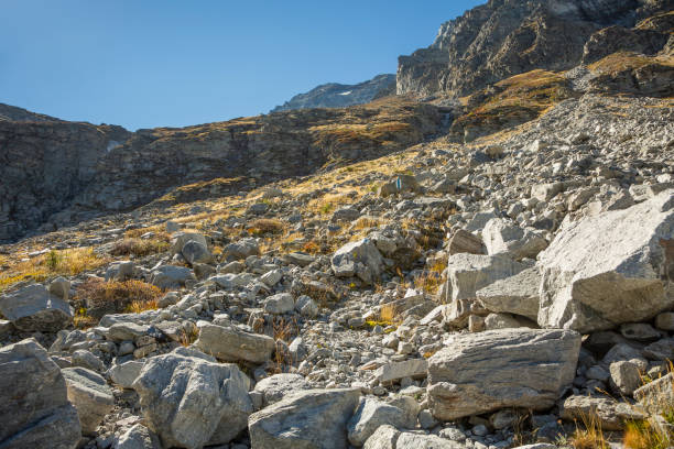 istock Trail to the Chriegalppass (Binntal, Valais, Switzerland) 1453777981