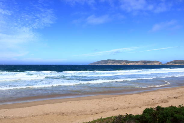 istock idyllic beach in southern africa 1453779500