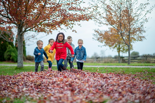 A small group of school aged children are seen running through the leaves on a cool fall day.  They are each dressed warmly in layers and are laughing as they play about together.