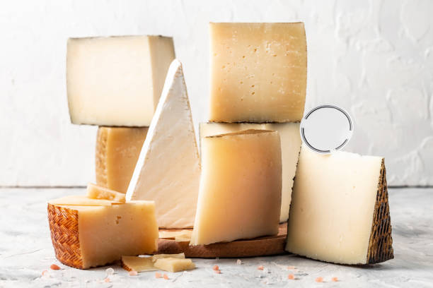 cheese board of various types of soft and hard cheese. spanish manchego cheese, international dairy delicacies. vertical image - mold imagens e fotografias de stock