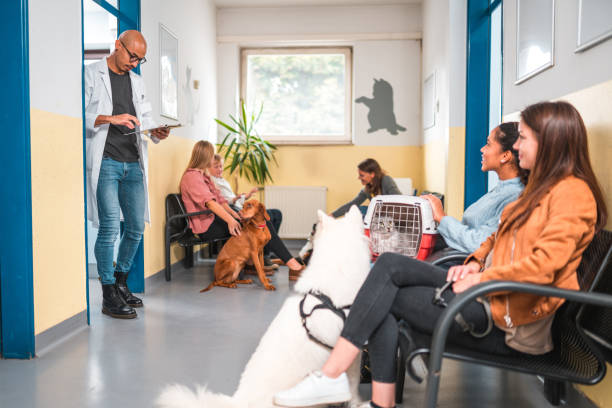 istock Hispanic Male Vet Calling For His Next Animal Patient 1453786488