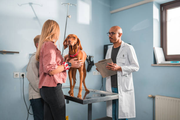 istock Hispanic Male Vet Doing A Routine Check Up With A Young Dog 1453786565
