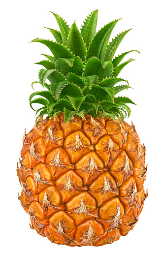 One pineapple fruit isolated on white background with clipping path, full depth of field