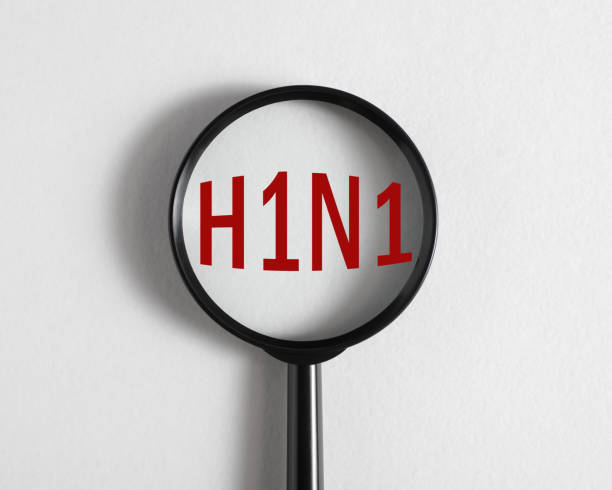 lupe fokussiert auf text h1n1 influenzavirus serotyp a, schweinegrippe - serotype stock-fotos und bilder