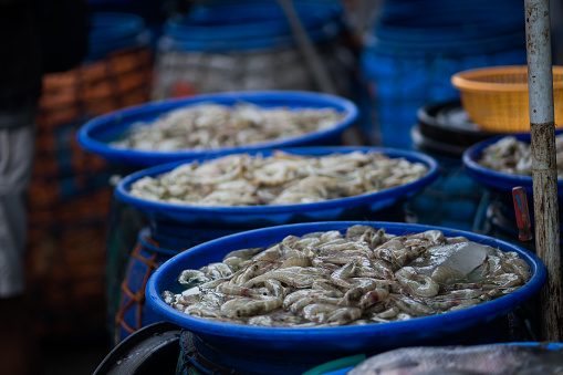 fresh prawns on the plastic container in traditional market. Street photography