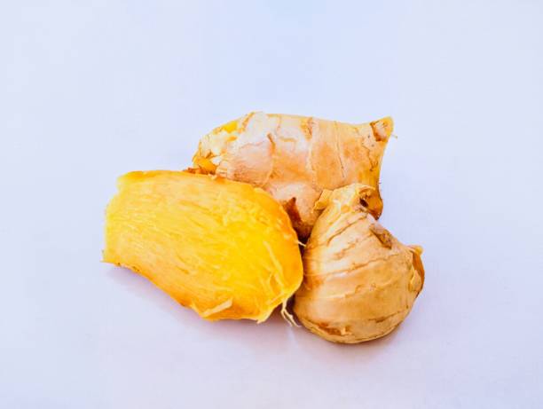 ginger root spice a pungent aromatic rhizome of a tropical asian herb indian adarak chinese culinary and folk medicine zingiber officinale, gingembre, dietary supplement jengibre closeup view image picture stock photo - ginger spice chinese medicine freshness imagens e fotografias de stock