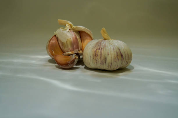 istock Garlic clove and bulb isolated on water shadow background. 1453791578
