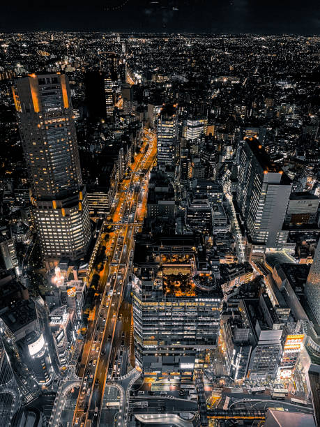 istock Tokyo city view at night 1453791944