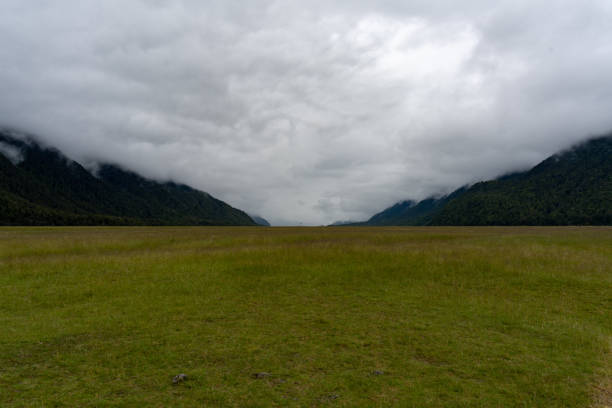 istock Fiordland National Park 1453792046