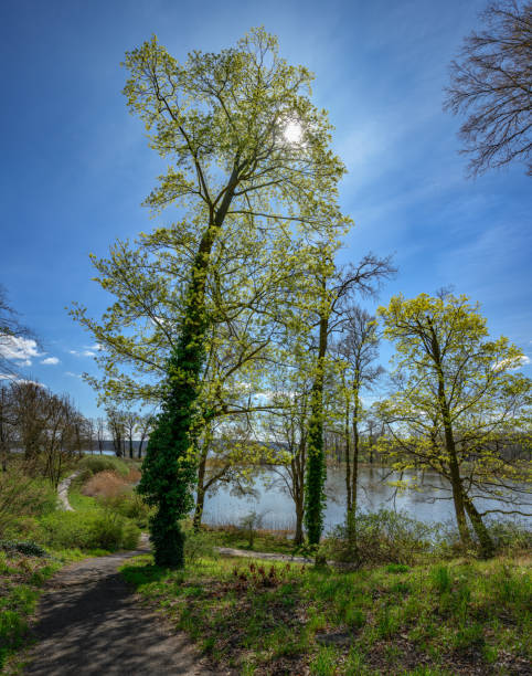 monumento al jardín "lenné-park" en petzow en primavera con vistas al lago "haussee" - petzow fotografías e imágenes de stock