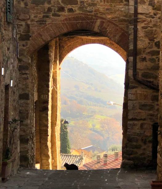 istock Black cat under a medieval arch in Tuscany village sunset 1453794779