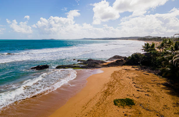 istock Beautiful view of a sandy beach on a sunny day 1453795325