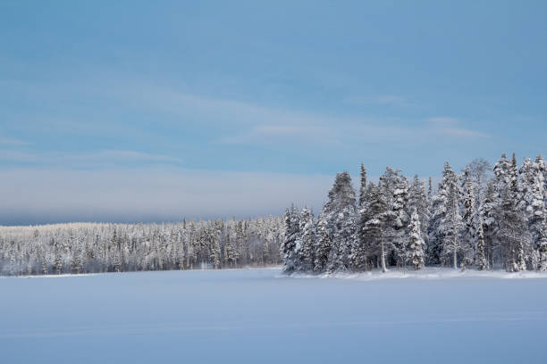 istock Frozen lake in Lapland on a sunny day in winter 1453799461