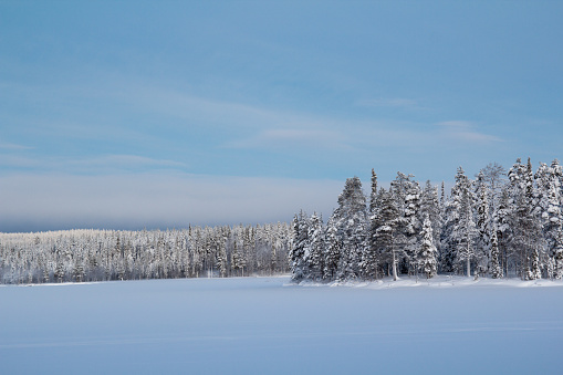 Wintry landscape in Swedish Lapland