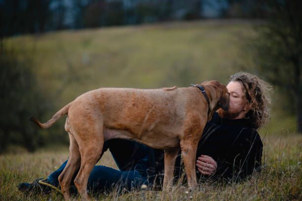 istock Man enjoying the outdoors with his dog 1453799550