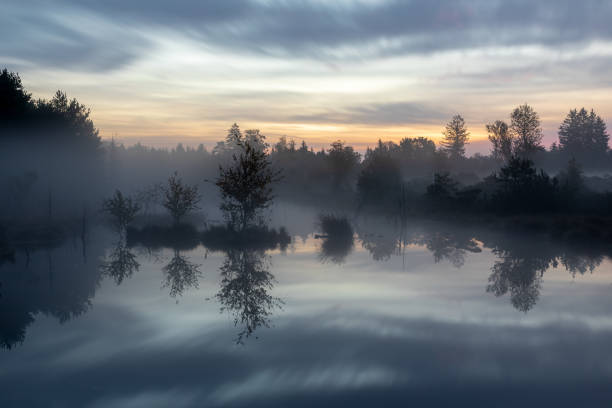 Foggy dawn in Wenger Moor, a high moor in Salzburger Land county, Austria