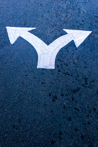 Forked road arrow sign on asphalt road