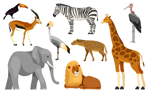 Savanna animals set, isolated vector icons. Gazelle and elephant, zebra, lion, giraffe and toucan. Hyena, grey crowned crane and marabou stork. African birds, grazing mammals and meat eating animals.