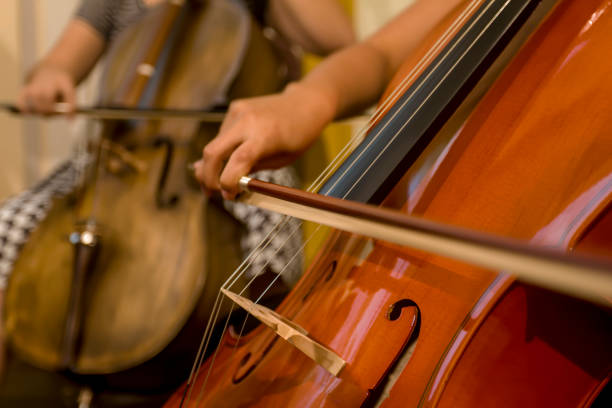 istock Woman's hands playing cello. Cello Bow Instrument) 1453806670