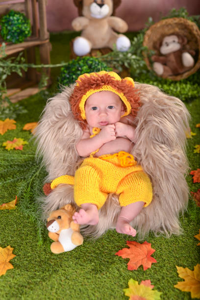 istock Cute baby newborn dressed as a lion 1453806728