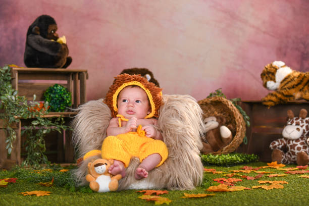 istock Cute baby newborn dressed as a lion 1453806763