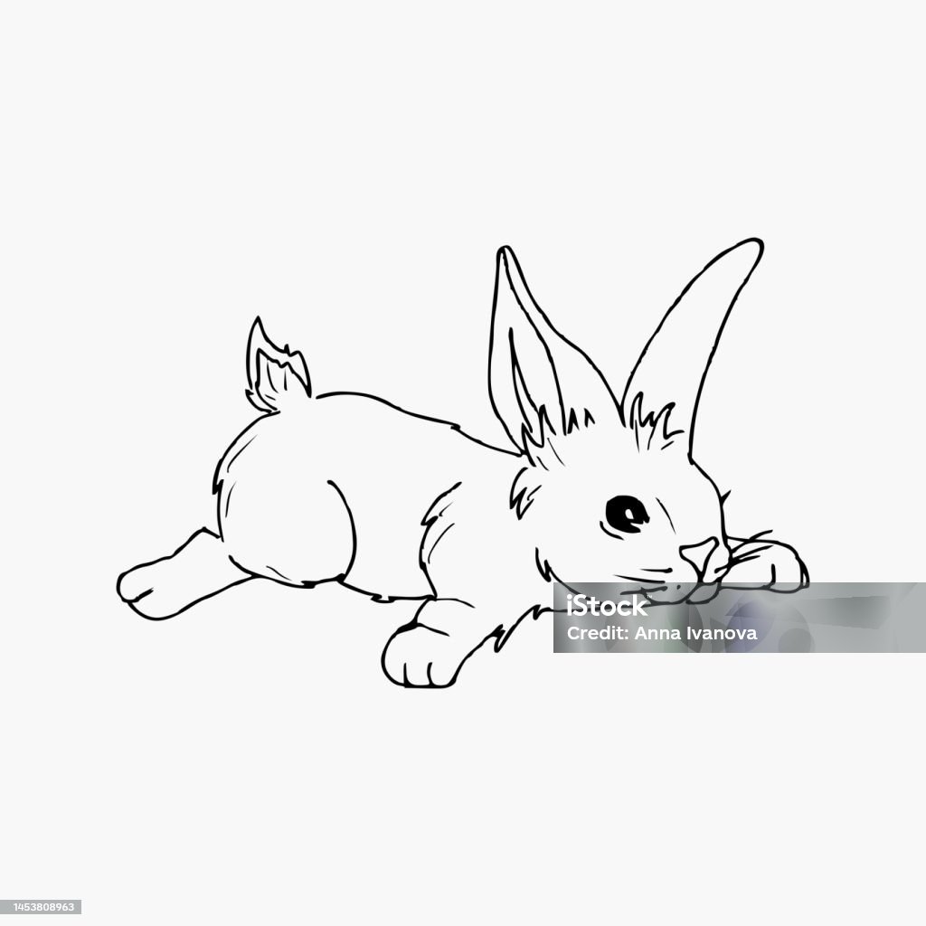 Small Rabbit Visual Cute Hand Draw Small Lying Rabbit Illustration Of Bunny Stock ...